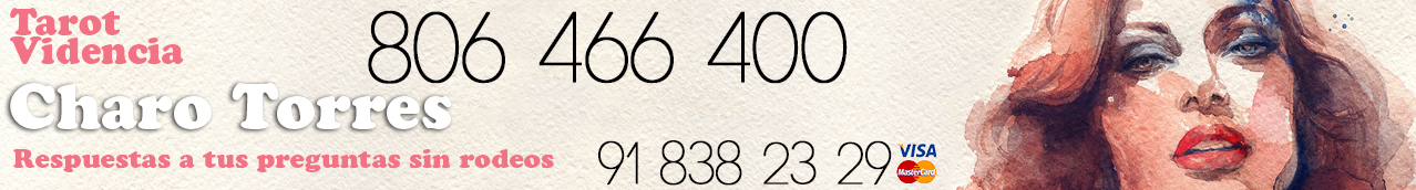 banner_charo_torres